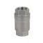stainless steel check valve