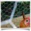 pvc coated hexagonal chicken wire mesh/pvc coated chicken meshes/pvc chicken wire mesh