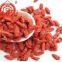 Ningxia dried goji berry china goji berries