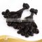 Hair Cuticles Intact Hair, Hot Sale Rose Curl in Nigeria Double Drawn Unprocessed Human Hair