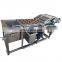 tomato eggplant vegetable washing machine