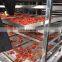 Full SS Precise Dry Chamber for Fruit/vegetable/wooden