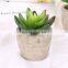 Fake plants simulate succulent bonsai creative flowers simulate potted plants potted trinket