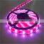 High Lumens IP65 Waterproof Led Strip Light Wholesale White Black Light Led Strip