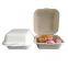 Wholesale Hot sale Pack of 200 Sugar Cane Bagasse 8 inch (20cm) Fast Food Boxes with Hinged Lid