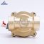 High Quality 2W250-25 Normally Closed Type G1 Electric AC220V Brass Pneumatic Air Oil Water Solenoid Valve
