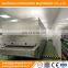 Fully automatic quick freezer machine auto IQF freezing freezers food instant frozen equipment good price for sale