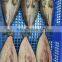 Hot sale one night dried fish frozen ataka mackerel head on