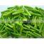 Sinocharm New Season BRC A Approved Frozen Garlic Sprout Cuts IQF Spring Garlic Sprout