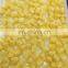 Sinocharm Sweet Direct Sales Frozen IQF Pineapple Diced/Sliced/Chunks