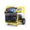 BISON CHINA 3600Rpm 8500W Gasoline Generator Portable Air Cooled Gasoline Generators Bison 10Kv 8500W