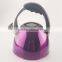 2.5L Home used cooking Kettle with Lightweight Stainless Steel Frame and Nylon Handle