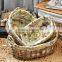 7 hand woven - pastoral style - straw - Storage Basket - Storage Basket - sundry basket - woven baskets woven basket