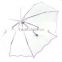 Hot Fashion Irregular Edge Transparent Creative Folding Sunscreen Bumbershoot Umbrella