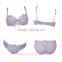 Woman underwear beautiful ultrathin bra set(FPY305)