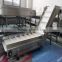 Pom material climbing belt conveyor system for packing industry