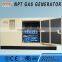natural gas co-generator