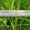 agriculture watering hose drip irrigation