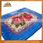 Top Brand In China Custom Made 1 Ply Korean Style Raschel Mink Blanket