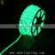 Factory Directly Selling LED Neon Flex Rope Light China supplier Zhongshan