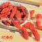 Ningxia Dried Red Fruit gojiberry/goji berry in bulk