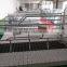 Pig farrowing crate/ Pig farm equipment