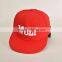 2015 wholesale custom baseball caps for dogs manufacture /Embroidery baseball caps for dogs
