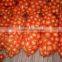 2015 crop fresh yellow onion for sale with cheap price from China