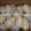 Fresh Potato Exporter