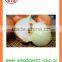 Export Best quality fresh red yellow white onion