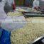 New crop frozen iqf cauliflower