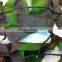 No Shine and Glare Versatile Anti Fire Military Multispectral Camouflage Net