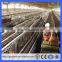 Tanzania Low-cost Layer Egg Chicken Cage/Poultry Farm House Designs(Have stock)