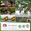 EURO-MARKET BSCI PASS - hot sell 2016 Eco-friendly 100%pp spunbond nonwoven fabric for agriculturel / garden