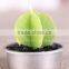 Cactus and Grape Plant Birthday Scented Candle