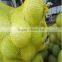 PP tubular fruit mesh bag