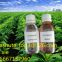 Flavor concentrated essence fruit series cigarette flavor and mint flavor about 500 kinds.