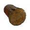 Ho Custom Artificial Garden Ornaments Props Decorative Resin Faux Hollow Tree Stump Window Display Supplier