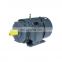 Hot selling 30kw 2955 rpm YE2 200L1-2  three phase electric ac water pump motor made in China