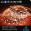 Colorful 5 colors rgbcct  72leds/m smd 5050 rgbww led strip light