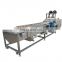 CE Approved Industrial Multifunctional Fruit Bubble Washing Cleaning Equipment