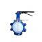 astm a216 wcb casting steel PTFE lined wafer type butterfly valve ggg40