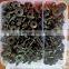 JZ auto plastic fastener Article Head Clip  Car Black Set Auto Clips Rivets for cars