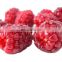 Best Natural Raspberry Extract/Fructus Rubi P.E/Fructus Rubi Extract