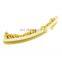 TR1160 Timing Chain Kit Automotive guide rail for MERCEDES-BENZ OM 668.914/OM 668.940 with oe no.:6680520316;A6680520316