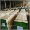 3900mm&4000mm pine lvl plank plywood