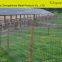 Galvanized Steel Mesh/?cattle fence/annimal fence/sheep fence