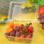 China supply packaging mushroom plastic tray