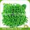 Microfiber chenille car sponge car wash mitt