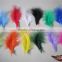 Wholesale Cheap DIY Craft Turkey Marabou Feather For Feather Mask And Feather Boa